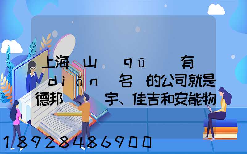 上海寶山區(qū)這有點(diǎn)名氣的公司就是德邦、華宇、佳吉和安能物流,誰(shuí)能分析...